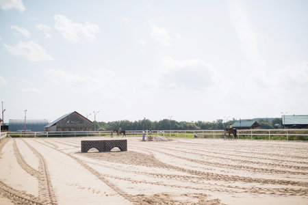 Horse riding on the beach in the summer.の写真素材