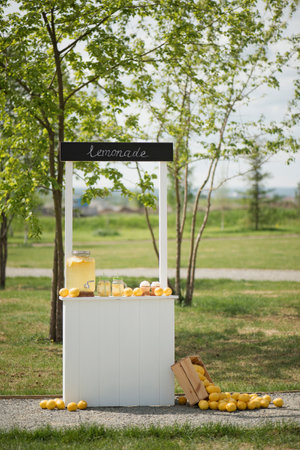 A lemonade stand in the park on the green grass.の写真素材