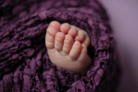 Feet of a newborn baby wrapped in a purple knitted blanketの写真素材