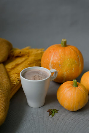 Autumn still life with hot chocolate and pumpkins on gray backgroundの写真素材