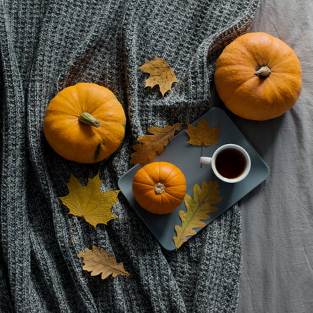 Autumn still life with pumpkins, leaves and a cup of coffee on a gray knitted plaidの写真素材
