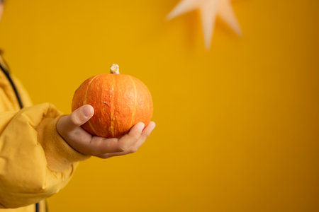 Pumpkin in child's hands on a yellow background. selective focus.の写真素材