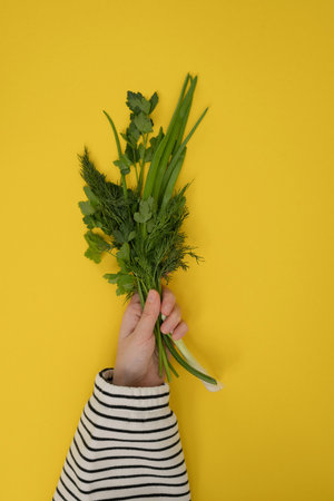 Hand holding a bunch of fresh green herbs on a yellow backgroundの写真素材