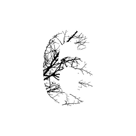 Number 6 double exposure with black trees isolated on white background.Vector  illustration.Black and white double exposure silhuette numbers combined with photograph of nature.Letters of the alphabetのイラスト素材