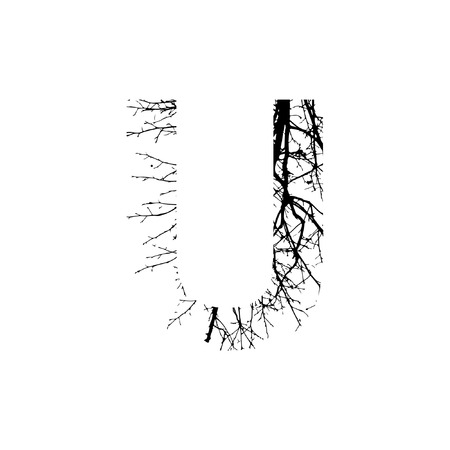 Letter U double exposure with black tree isolated on white background.Vector  illustration.Black and white double exposure silhouette numbers combined with photograph of nature.Letters of the alphabetのイラスト素材