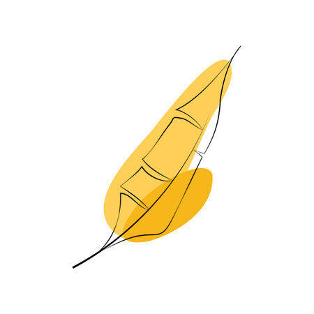 Yellow kayak on a white background. Isolated vector illustration.のイラスト素材