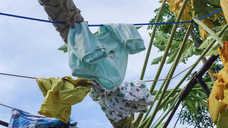 Papaya tree falls onto children's clothes drying in the sun against a blue sky background, Indonesia.の写真素材