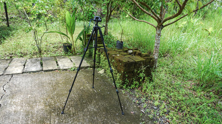 Close-up of a tripod on a blurred background of green grassの写真素材