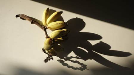 Bunch of bananas on a white background with a shadow from the sunの写真素材