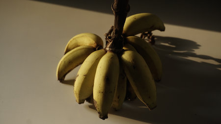 Bunch of ripe bananas on a white background. Close-up.の写真素材