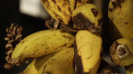 Bunch of bananas on a white table. Selective focus. Close up.の写真素材