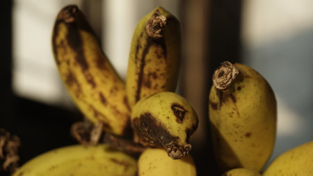Bunch of bananas on a white table. Selective focus. Close up.の写真素材