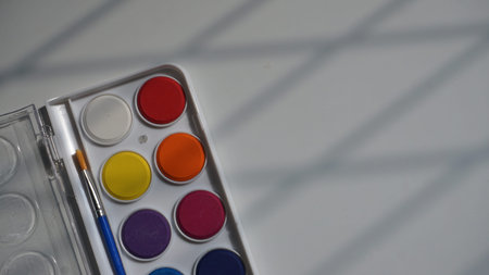 Watercolor paints and brushes in a box on a white background.