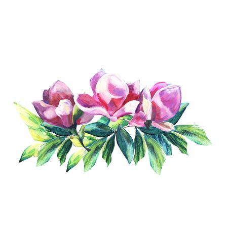 Arrangement of Flowers. Bunch of Pink Magnolia with green Leaves. Oil Painted texture. Decoration for Greeting, Wedding design.の写真素材