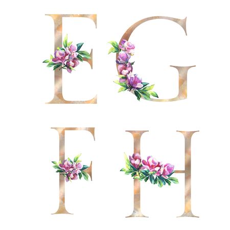 Gold Floral Letters set with flowers of magnolia and leaves. Elegant Alphabet isolated on the white background. Design for Wedding, inviting, greeting and birthday card. E, G, F, Hの写真素材