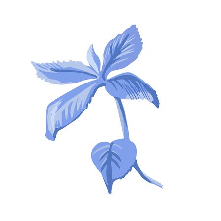 Branch with leaves isolated. Stylized floral in indigo colors. vector element design for greeting, wedding, textile pattern design. Folk art.のイラスト素材
