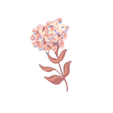Stylized motif flower isolated on the white background. Vector illustration for greeting, wedding, floral design. Ornate. Orange, Yellow, Peachのイラスト素材