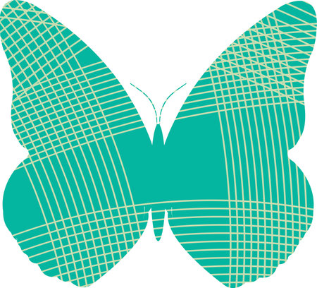 Colorful drawn shell on white background vector illustrationのイラスト素材