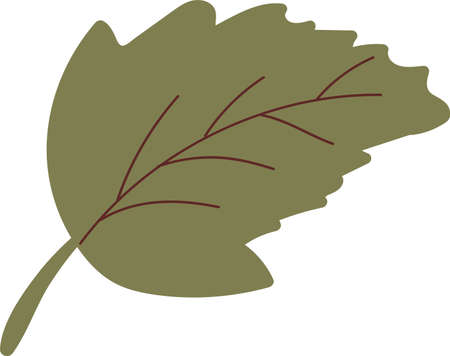 Simple autumn leaf in green color. Autumn design element. vector illustrationのイラスト素材
