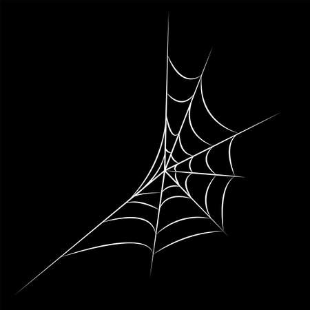 Spider web in white line art. editable illustration for halloweenのイラスト素材