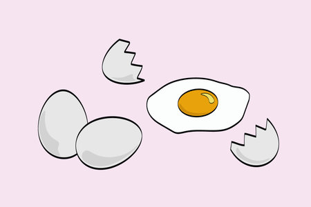 Fried egg with eggshells on pink background. Vector illustration.のイラスト素材