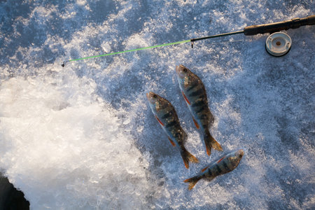 winter fishing on ice a winter rod in a frostの写真素材