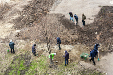 many people in warm clothes clean the territory in the off-season. They use shovels and panicles. Top view of a close-up of a horizontal frameの写真素材