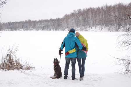 a couple of young man and woman walking in the snow in winter with a dogの写真素材