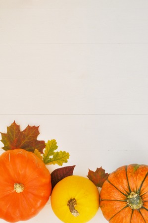 Yellow and orange pumpkins and autumn leaves on white wooden background for harvest fall and thanksgiving theme.の写真素材