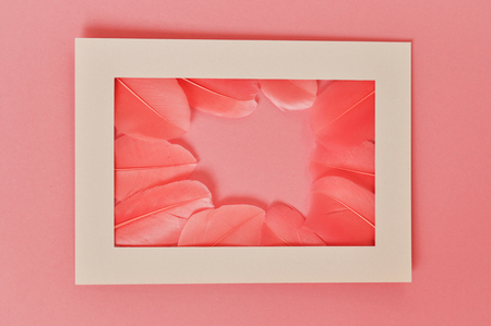 Real feathers with frame trend color living coral closeup. Color of the year 2019の写真素材