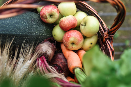 Basket with gifts of autumn consisting of carrots, beets, zucchini, apples, wheat on an old chair ....