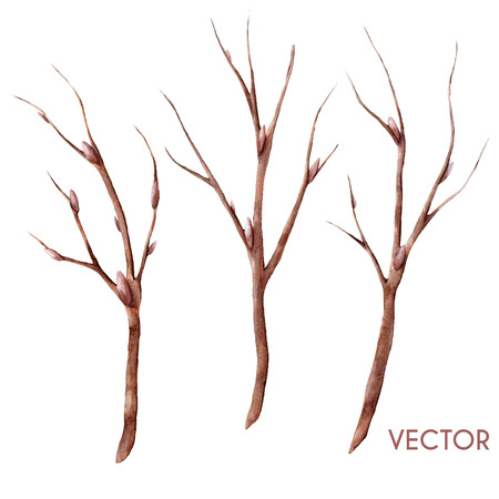 Hand drawn vector watercolor spring tree branches set isolated on white. Twigs with buds.のイラスト素材