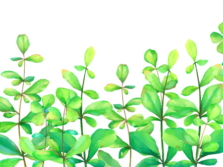 Watercolor floral background with hand drawn green herbs isolated on white background. Useful for floral design of postcards, greetings, invitations, scrapbook element.の写真素材
