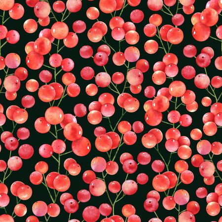Watercolor red berries on black background. Seamless pattern.の写真素材