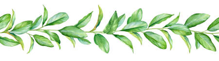 Seamless pattern with watercolor twigs with green leaves isolated on white background.の写真素材