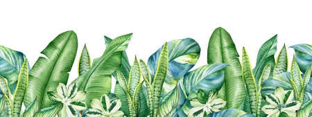 Seamless pattern with watercolor tropical plants isolated on white backgroundの写真素材