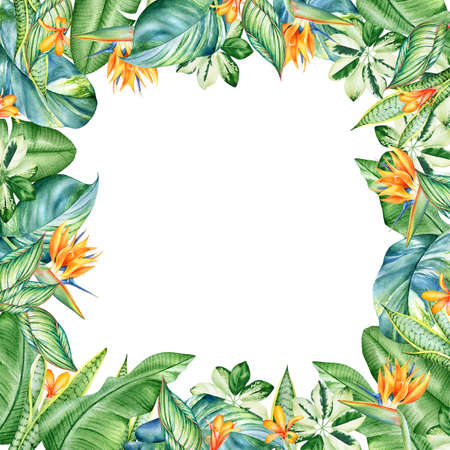Floral frame with watercolor tropical plants and flowers isolated on white backgroundの写真素材