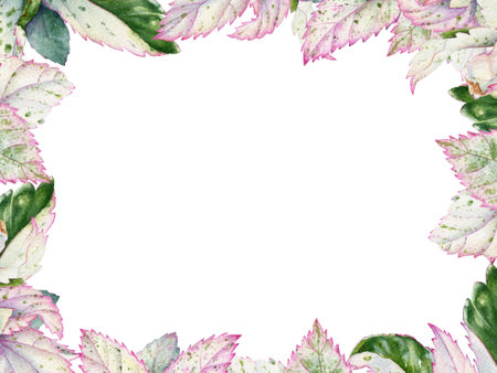 Frame with watercolor tropical plants with multicolor leaves for floral design.の写真素材