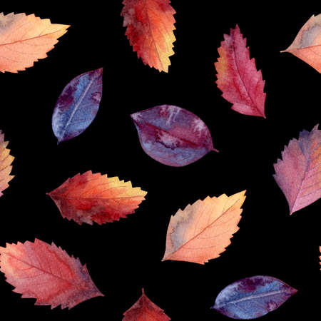 Seamless pattern with watercolor autumn leaves on black background.の写真素材