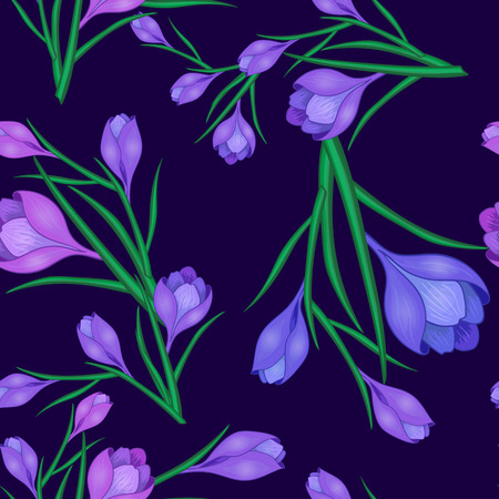 crocus flowers dark blue-01のイラスト素材