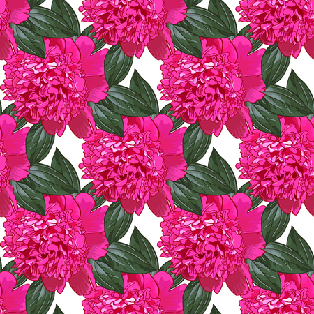 Pink peony.Seamless patternのイラスト素材