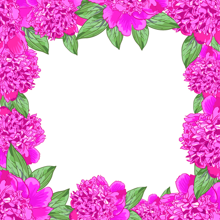 Frame.Pink peony.Beautiful realistic flowers.Green leaves.Square template with space for text. greeting card for birthday, anniversary,wedding, mother's Day and other dates.のイラスト素材