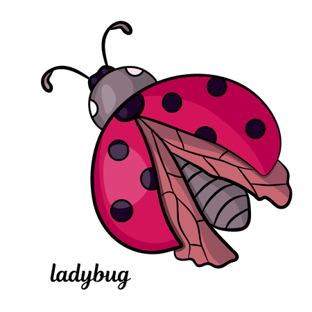 Cartoon Ladybug. Red insect.The isolated image on a white background.Vector illustration for children. Print for kids.のイラスト素材