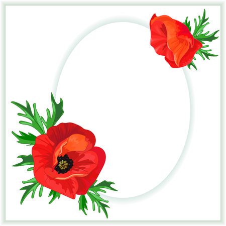 Red poppies.Greeting cardのイラスト素材