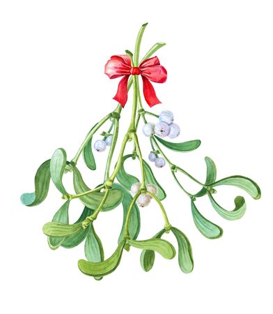 Watercolor bunch of mistletoe.Christmas tradition of kissing.Watercolor winter illustrationの写真素材