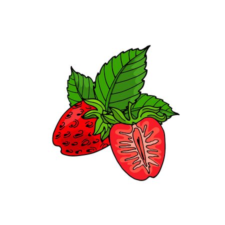Cute cartoon red strawberries and leaves. Vector hand-drawn illustration with fruit for childrenのイラスト素材