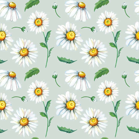 Chamomile watercolor seamless pattern. White summer flowers on gray backgroundの写真素材
