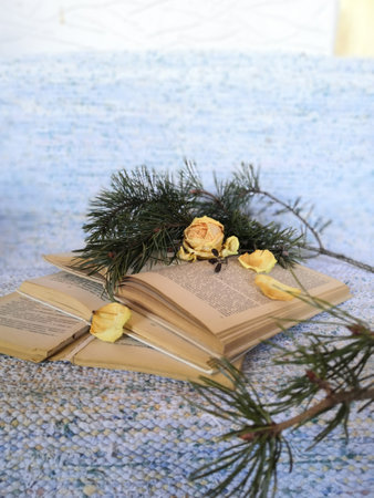 Rose and pineの写真素材