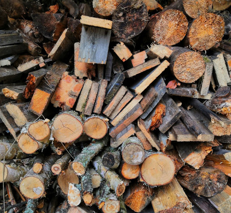 Firewoodの写真素材