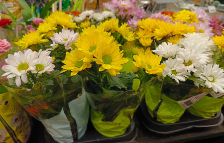Bouquets of fresh, bright chrysanthemum flowers displayed on a store counter...の写真素材